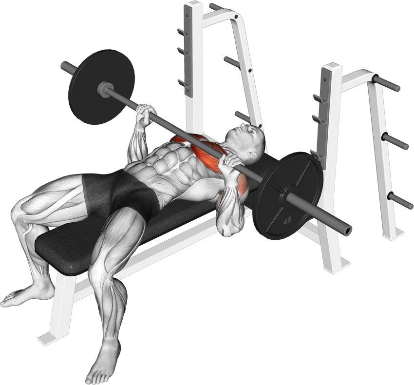 Bench Press