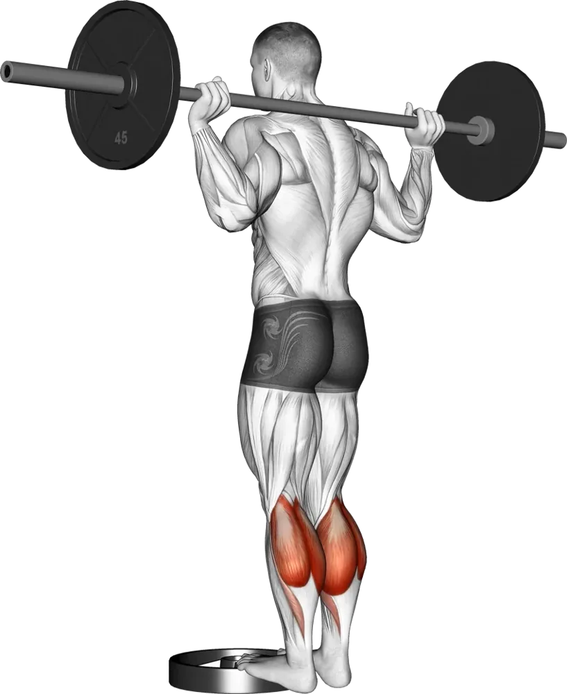 Calf Raise