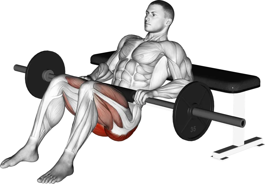 Hip Thrust
