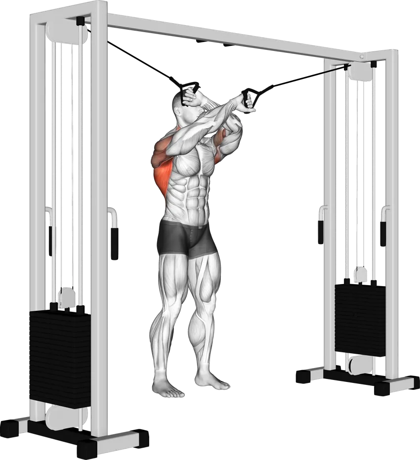 Lat Pulldown