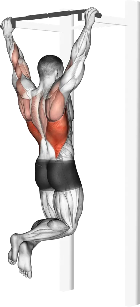 Pull-up