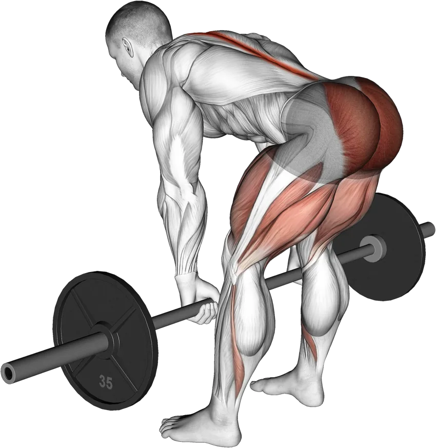Romanian Deadlift